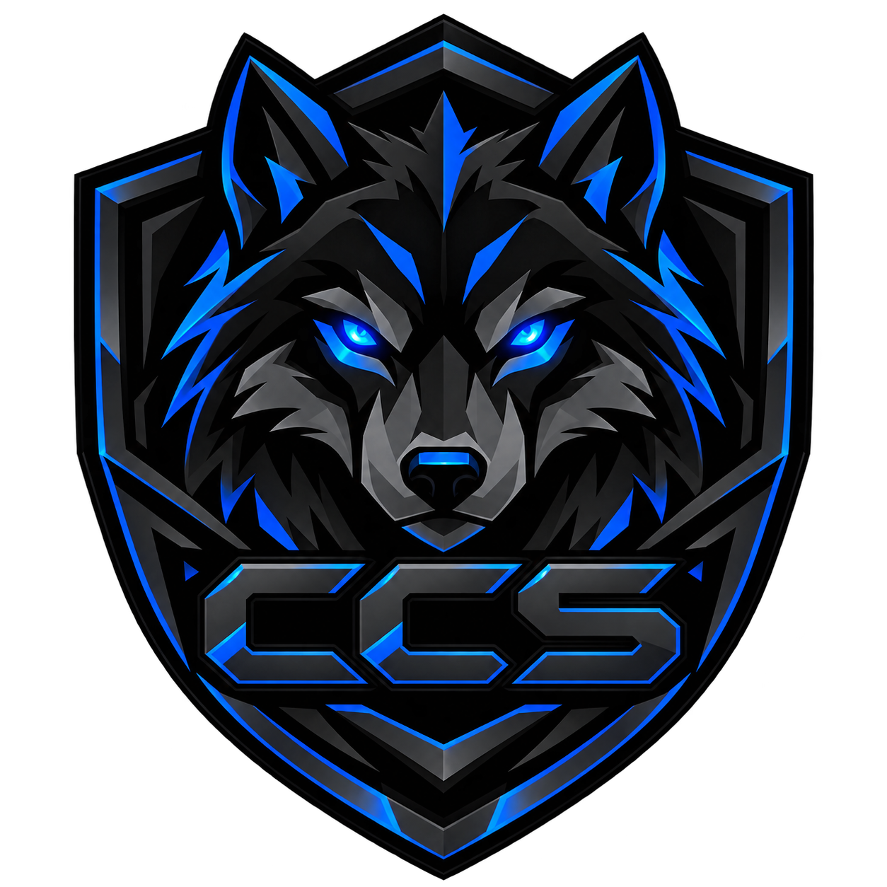 CCS